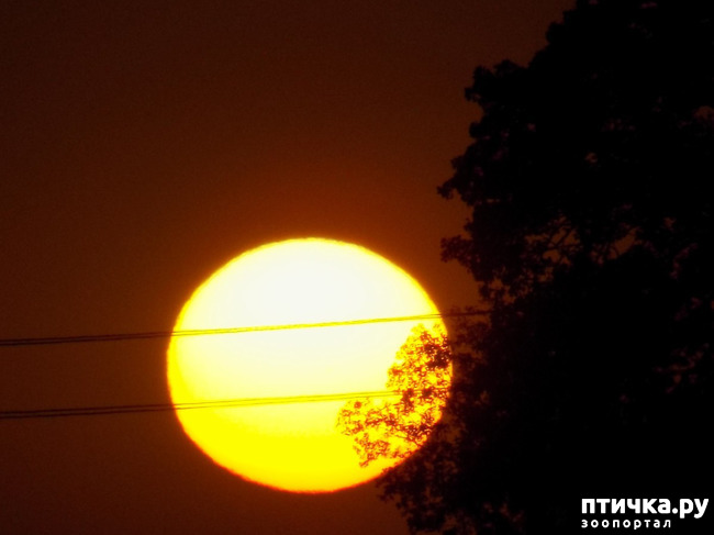 ���� 21: ����������