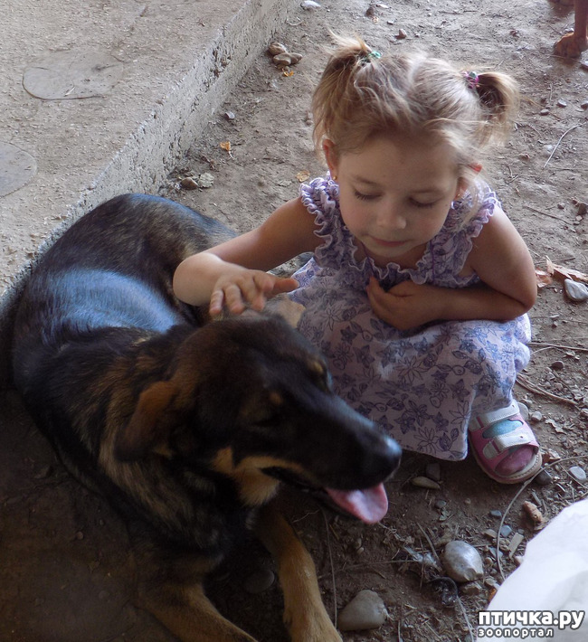 ���� 27: ����������