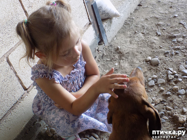 ���� 28: ����������