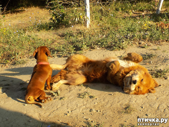 ���� 29: ����������