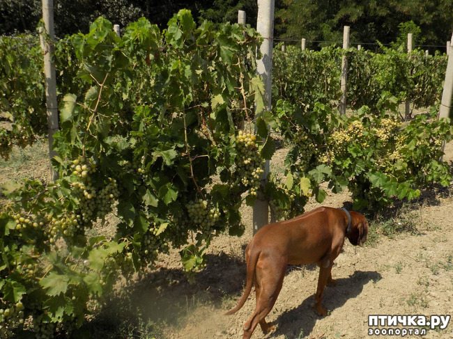 ���� 30: ����������