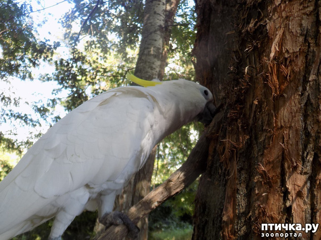 ���� 31: ����������