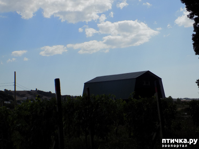 ���� 33: ����������