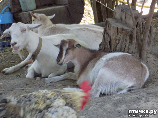 ���� 34: ����������