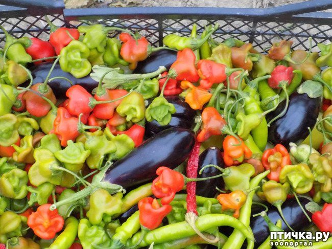 ���� 7: ����������