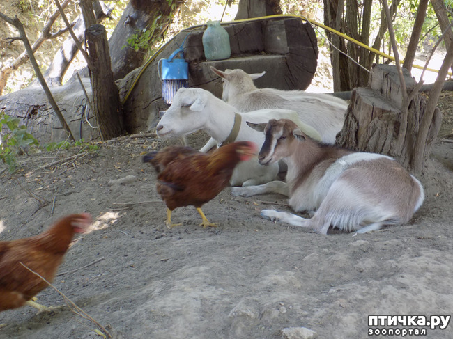 ���� 35: ����������