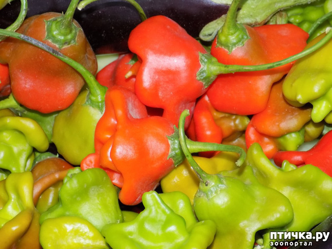 ���� 9: ����������