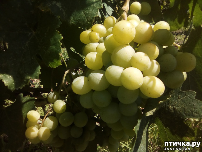 ���� 36: ����������