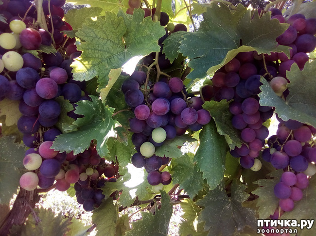 ���� 37: ����������