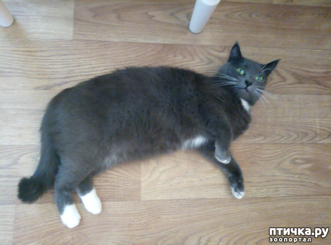 ���� 2: ������� ���