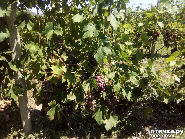 ���� 38: ����������