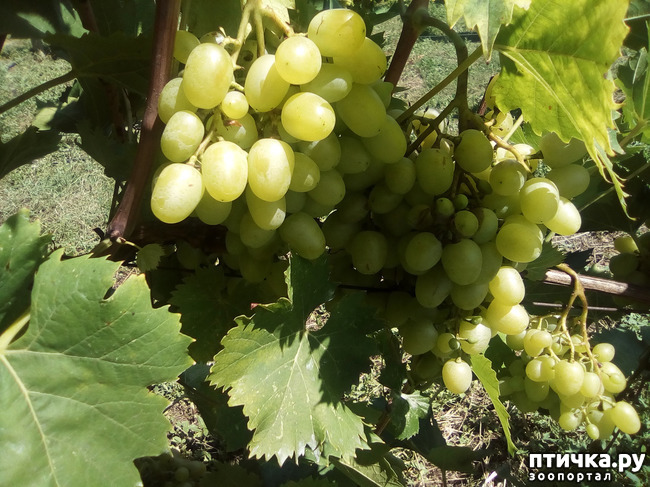 ���� 39: ����������