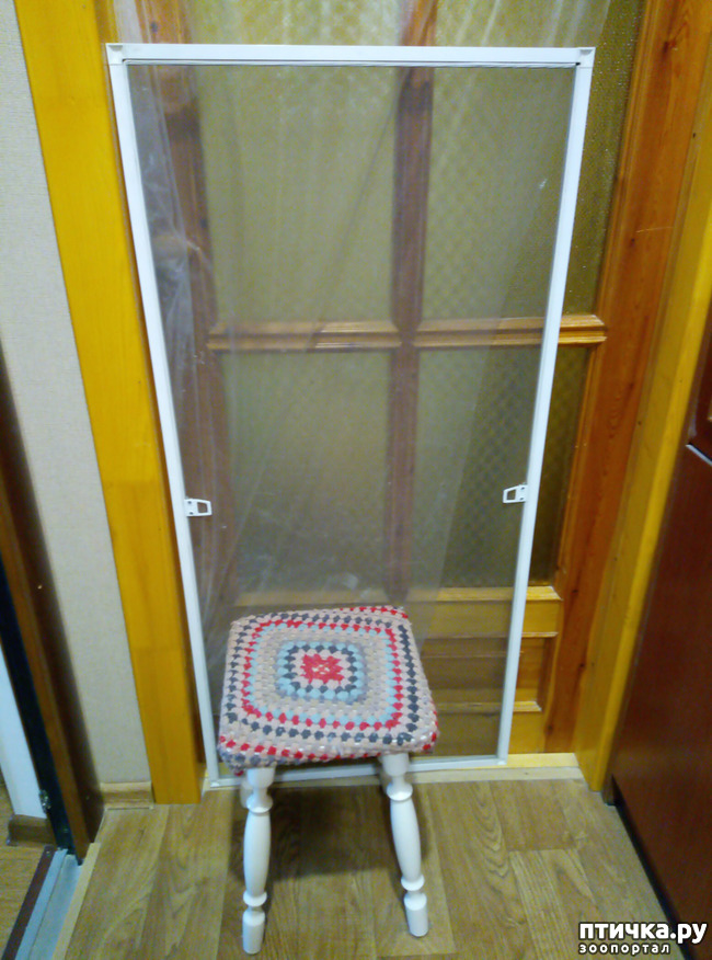 ���� 3: ������� ���