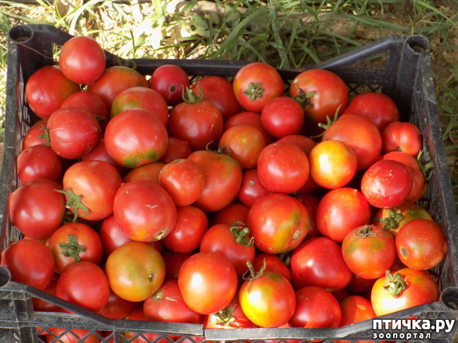 ���� 17: ����������