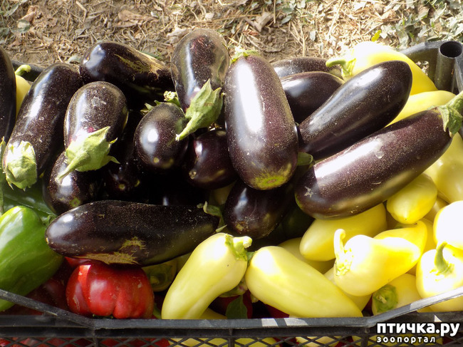 ���� 18: ����������