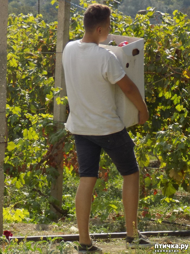 ���� 14: ����������