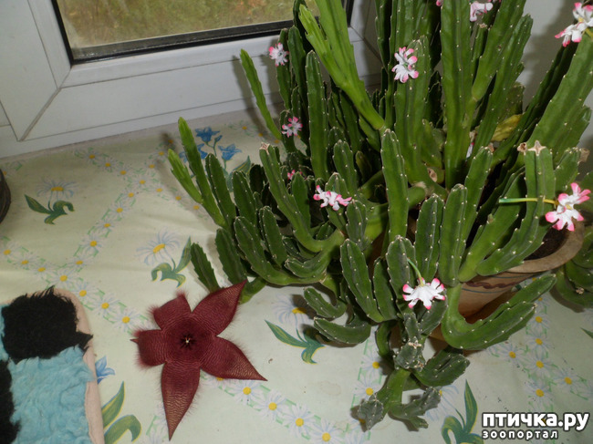 ���� 3: �������� ������� ���... ���� ��������