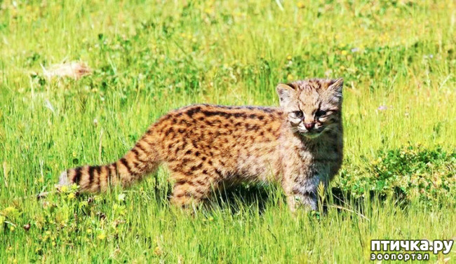 ���� 1: ������