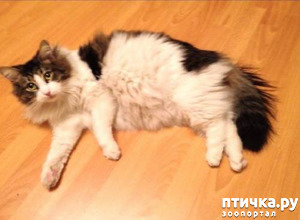 ����: ����� ���������