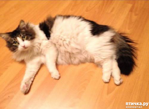 ���� 1: ����� ���������