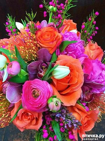 ���� 7: �� ����� ������)))