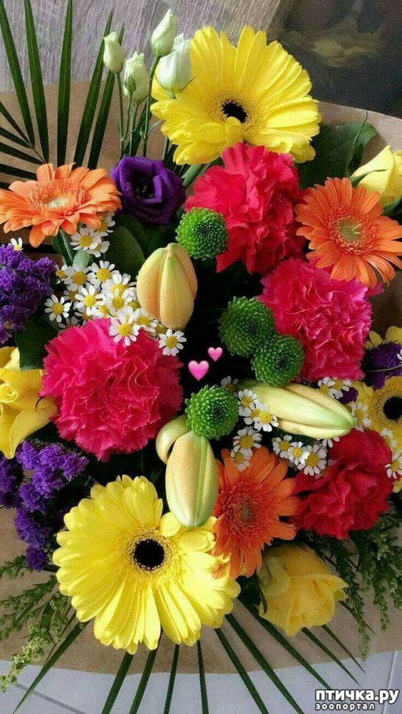 ���� 8: �� ����� ������)))