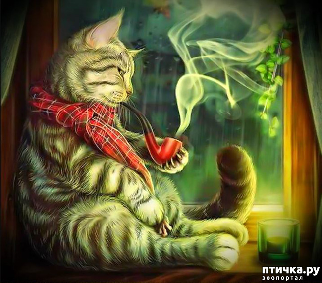 ���� 1: ��� ����