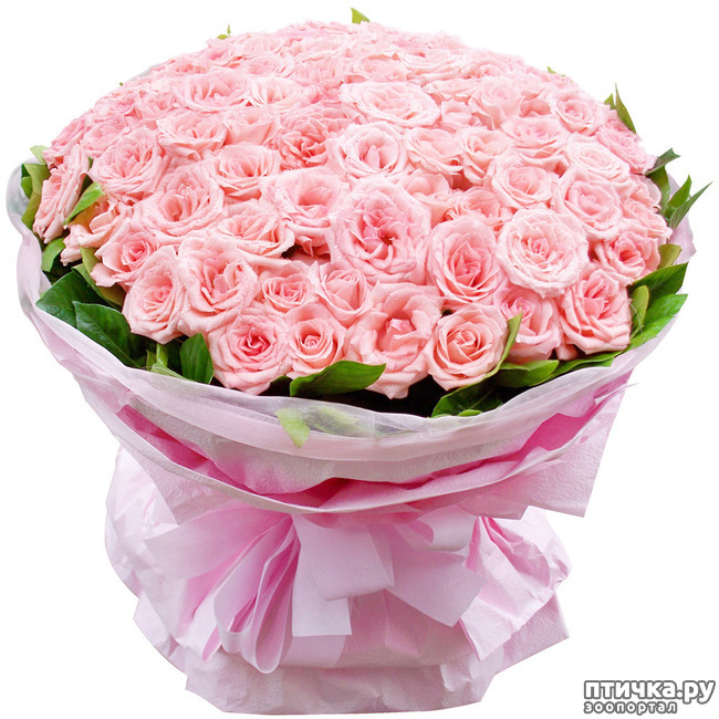 ���� 5: �� ����� ������)))