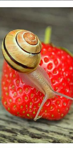 ����: �� ����� ������)))