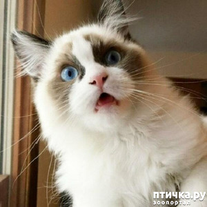 ����: ��������� ��� �����