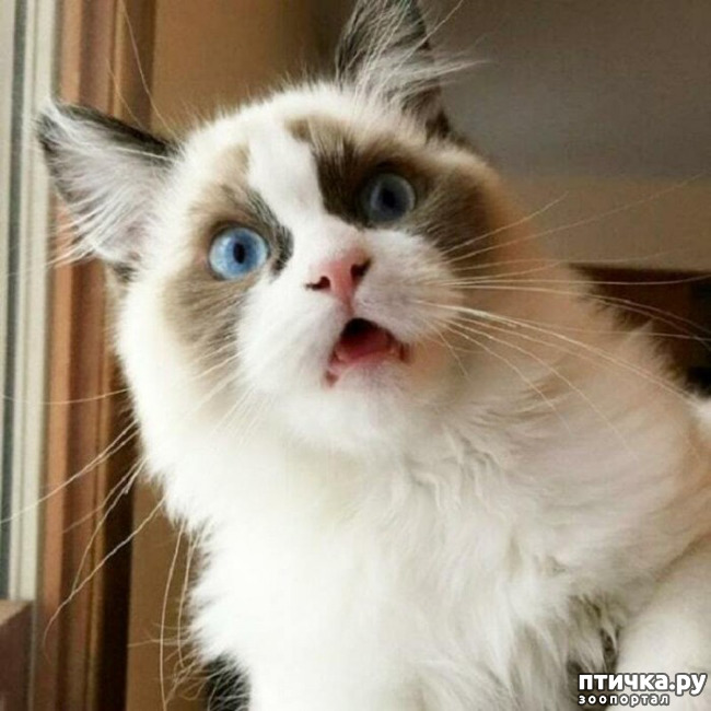 ���� 1: ��������� ��� �����