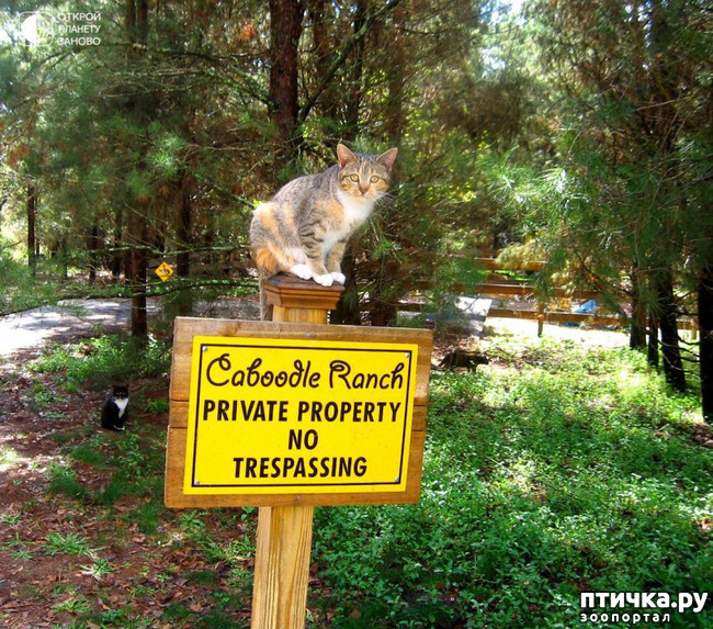 ���� 2: ��������� ��� �����