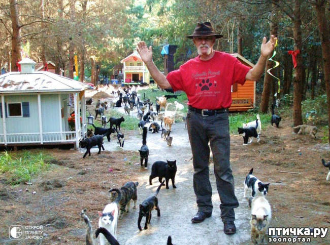 ���� 3: ��������� ��� �����