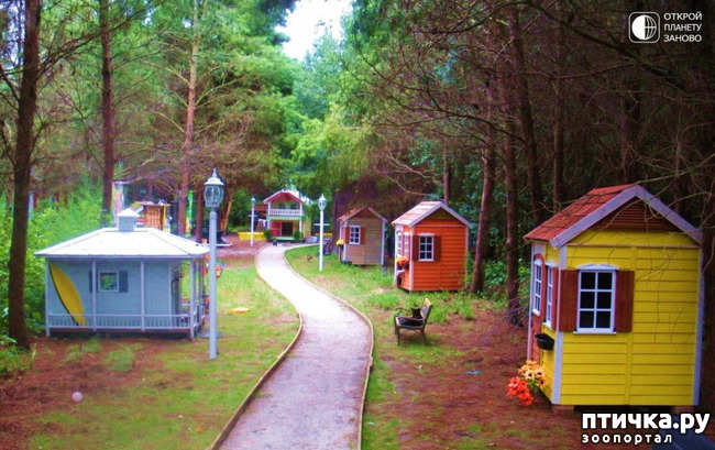 ���� 4: ��������� ��� �����