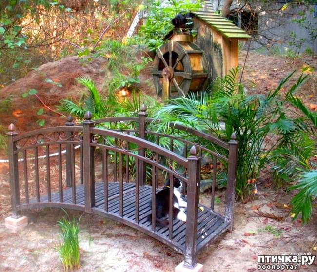 ���� 6: ��������� ��� �����