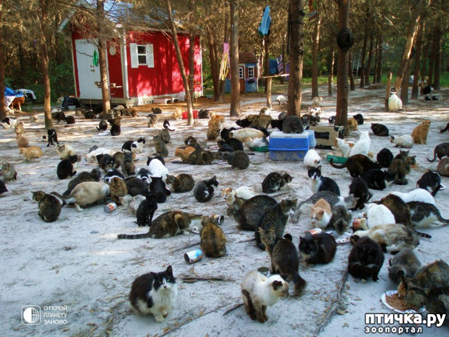 ���� 7: ��������� ��� �����