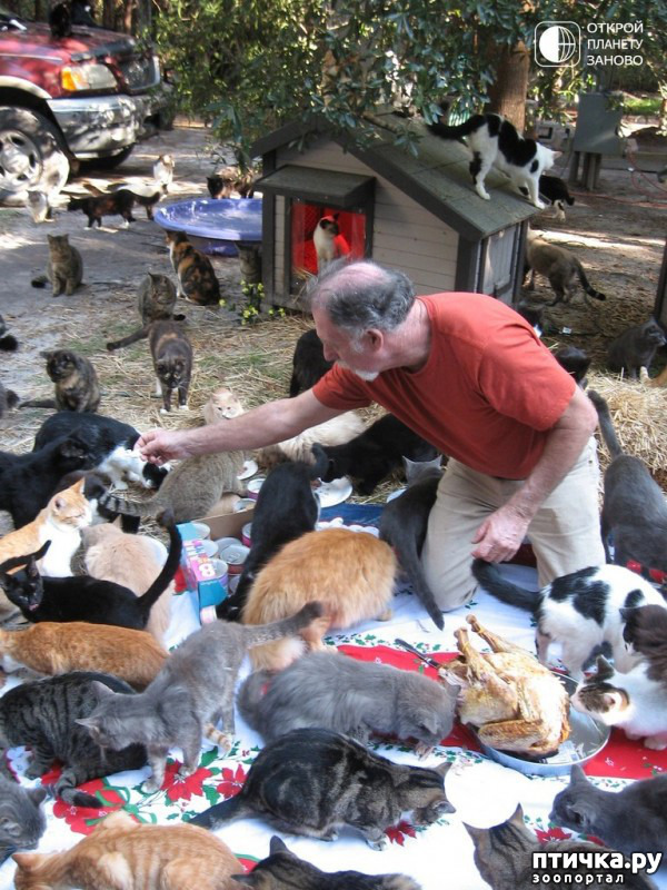 ���� 8: ��������� ��� �����