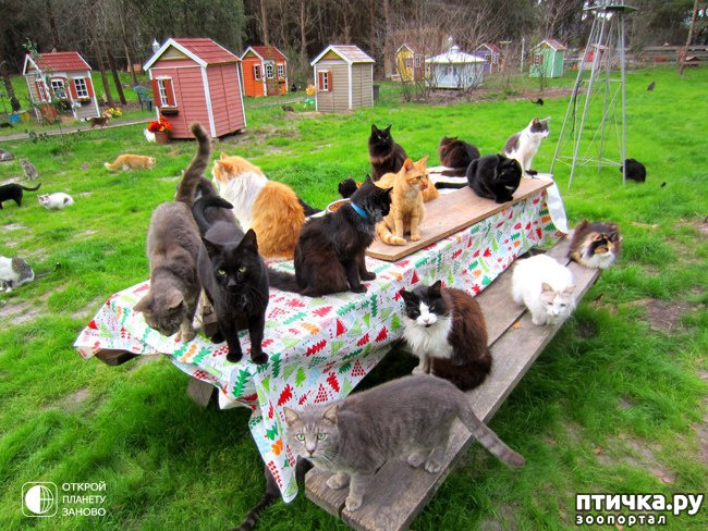 ���� 5: ��������� ��� �����