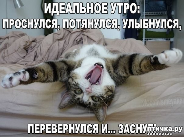 ���� 4: ����������� �� ��������������. ����� ��������