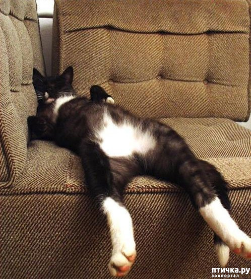 ���� 9: ����������� �� ��������������. ����� ��������