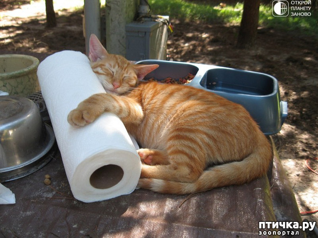 ���� 9: ��������� ��� �����