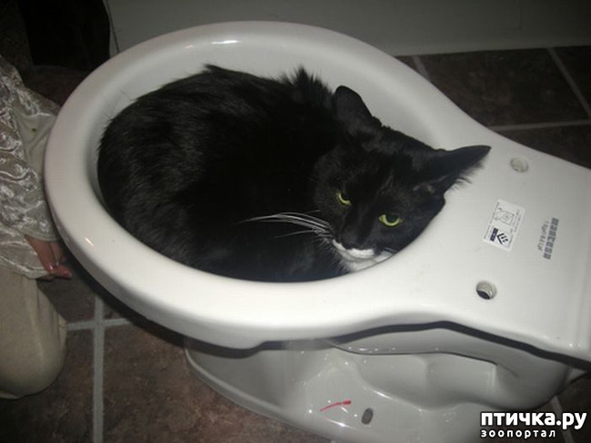 ���� 15: ����������� �� ��������������. ����� ��������