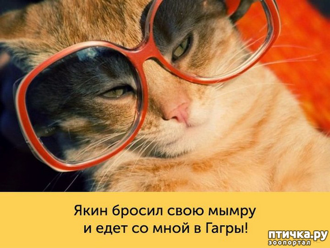 ���� 16: ����������� �� ��������������. ����� ��������