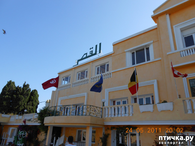 ���� 12: �����. ��� ������.