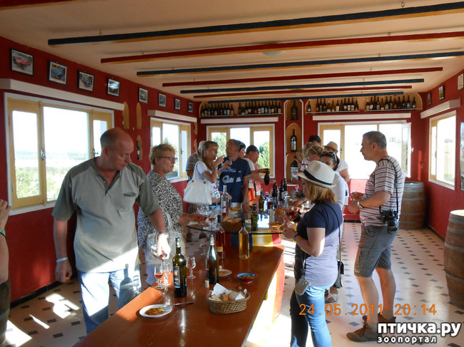 ���� 13: �����. ��� ������.