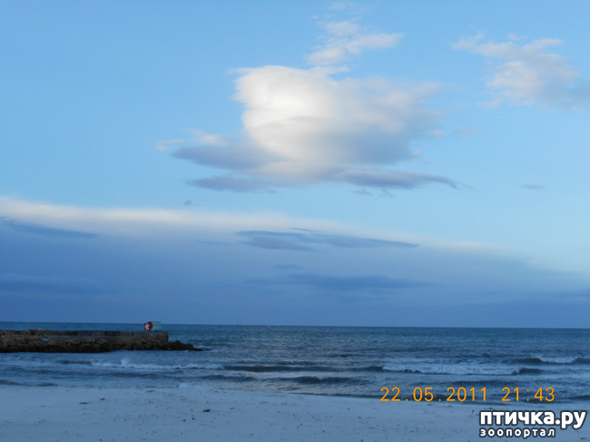 ���� 1: �����. ��� ������.