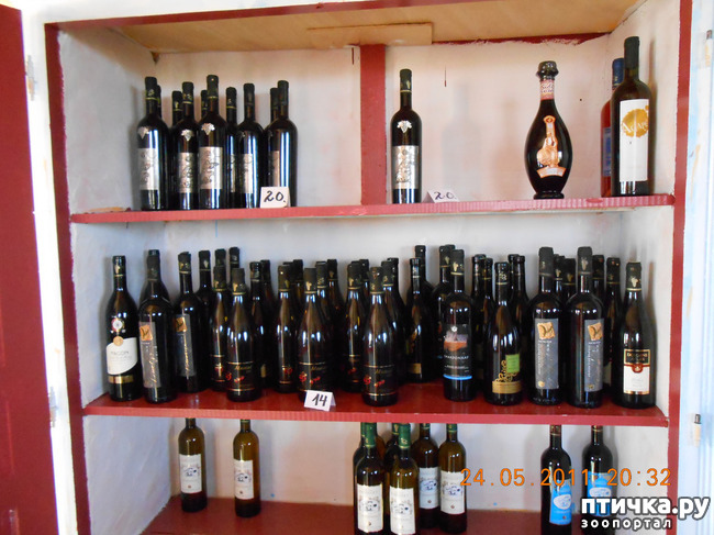 ���� 14: �����. ��� ������.