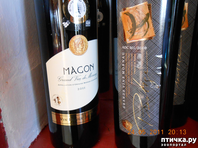 ���� 15: �����. ��� ������.