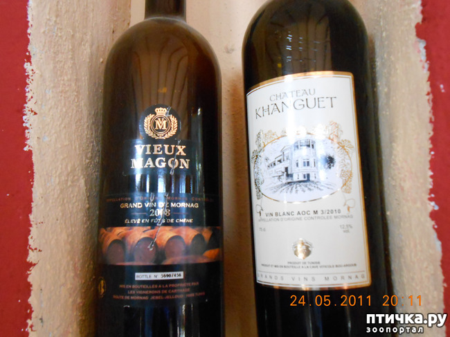 ���� 19: �����. ��� ������.