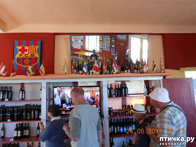 ���� 16: �����. ��� ������.